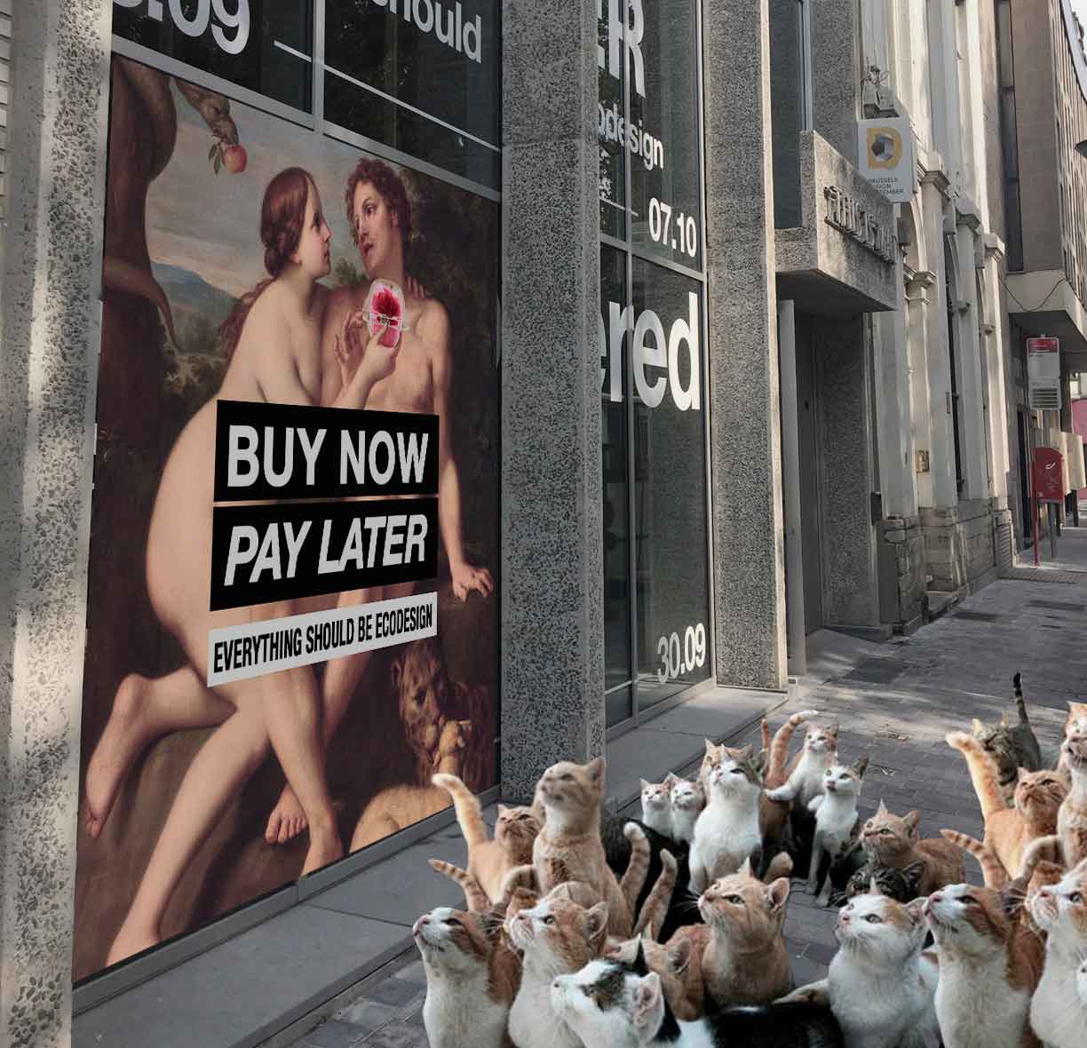 BuyNowCats Campagne de marketing digitale sur les réseaux